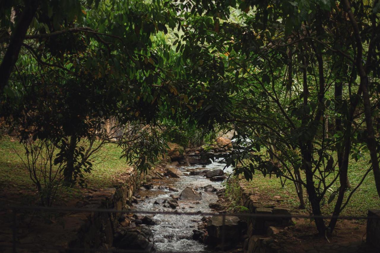 Sati Villa Kandy Sri Lanka Экстерьер фото